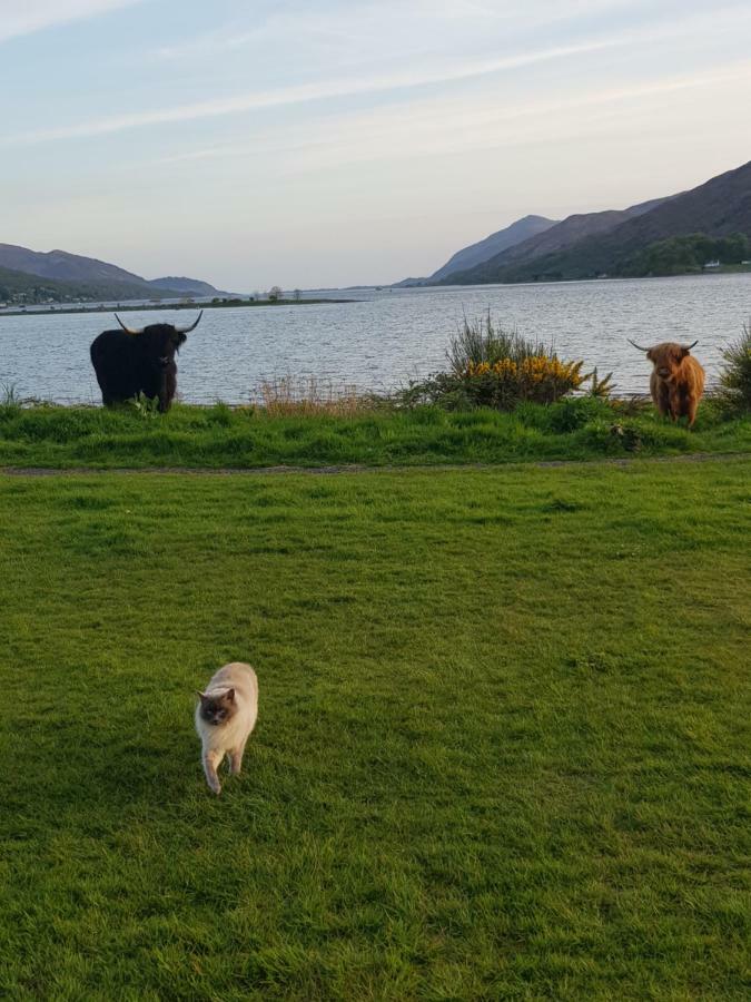 Fort William Loft On Shore Front With Amazing Views Caol Extérieur photo